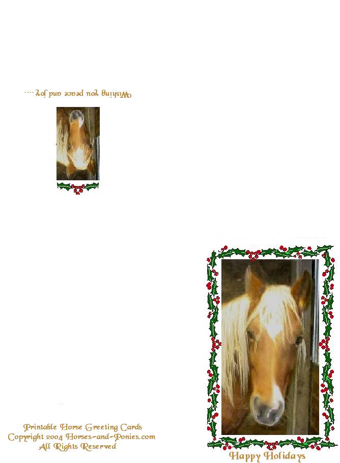 Christmas Cards With Horses Horses And Ponies
