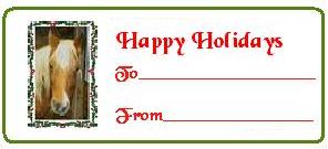 bijougifttag (9K)