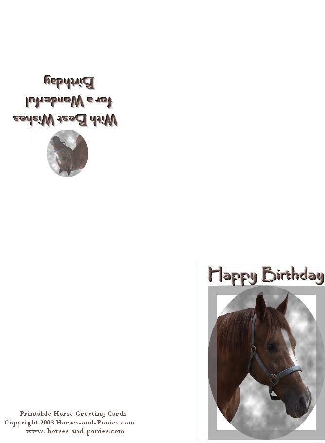 birthday-cards-with-horses-card-design-template