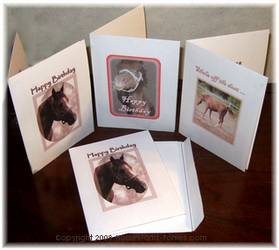 horse theme birthday cards