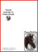 arabian horse birthday card