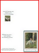 horse in forest card