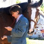 vet checking horse with stethoscope