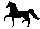 black horse