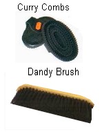 dandy brush and curry comb