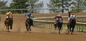 thoroughbred horse race