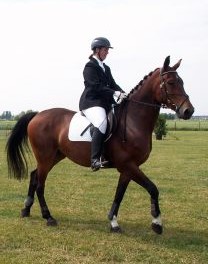 horsewoman (16K)