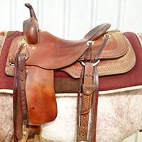 balanced saddle