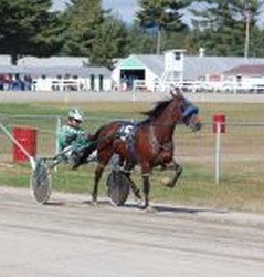 harness racing