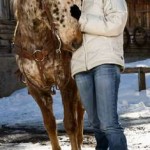 horse hugging woman