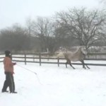 longe without lead line