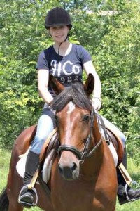 standardbred horse up for adoption