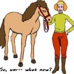 new rider with horse