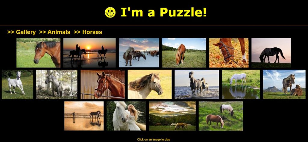 horse puzzle gallery