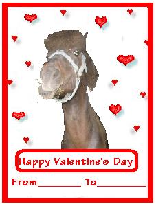 Valentines Horses And Ponies