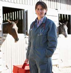 vet visiting horse barn